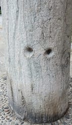 Devil's Column