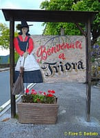 Triora