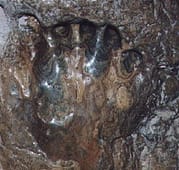 La Mano del Turco Montagna Spaccata