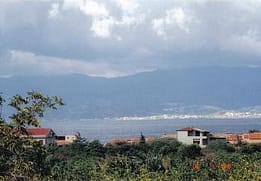 Sea & Lemon Orchards