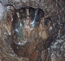 Mano del Turco